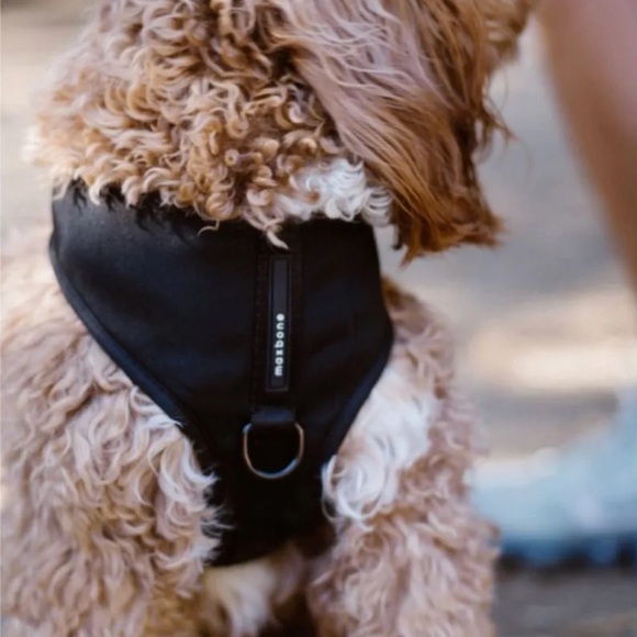 Maxbone sports Harness (black) - Picture 1 of 12